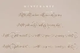 Winterante - Christmas Script Font