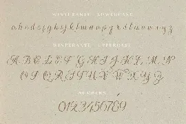 Winterante - Christmas Script Font