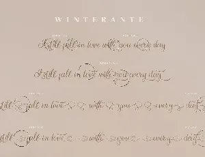 Winterante - Christmas Script Font