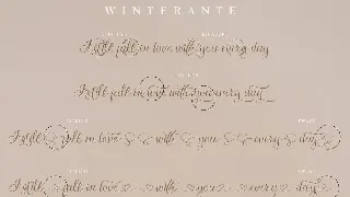 Winterante - Christmas Script Font