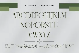 Modern Thin Serif Font