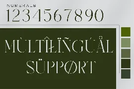 Modern Thin Serif Font