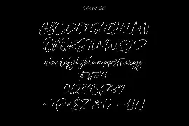 Ray Brooks Script Font