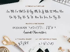 Danisha Handwriting Font