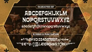 Borensa font