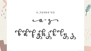 The Crafter / A Script Font