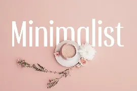 Influencer - Feminine Beauty Sans Serif font