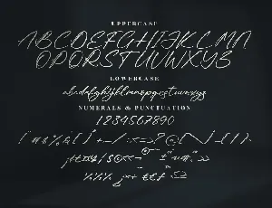 Rodriguez Xavier Brush Signature Font