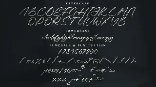 Rodriguez Xavier Brush Signature Font