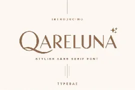 Qareluna Stylish Sans Serif Font