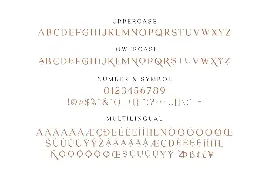 Hisquins - Minimalis & Modern Serif font