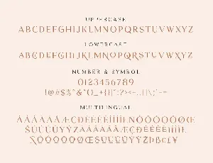 Herkings - Minimalis & Modern Serif font