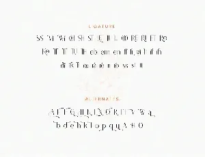 Astella Sans Serif Font