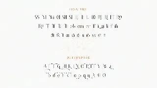 Astella Sans Serif Font