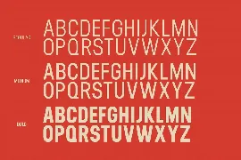 Orecla Sans Serif Display Font