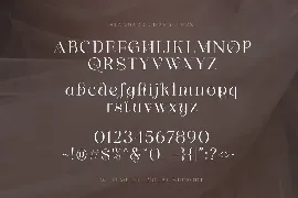 Shaping Heart - Lovely Serif font