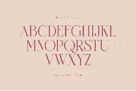 Novante - Display Serif font