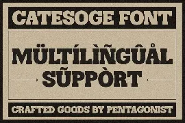 Catesoge | Retro Slab font