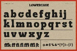 Catesoge | Retro Slab font