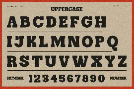 Catesoge | Retro Slab font