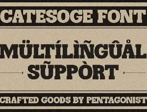 Catesoge | Retro Slab font