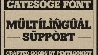 Catesoge | Retro Slab font