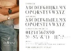 Consent - Editorial Serif Font