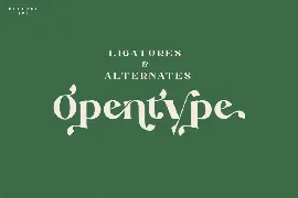 Argithea | Modern Serif Font