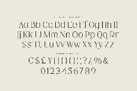 Hiden Certon - Aesthetic Serif Font