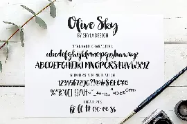 Bold modern brush font - Olive Sky