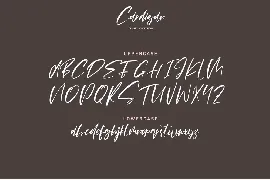 Cardigan font