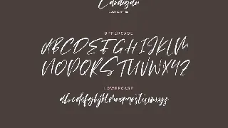 Cardigan font