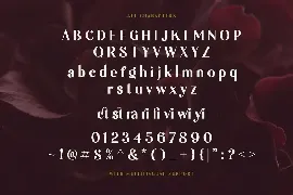 Burgundy - Curly Sans Serif font