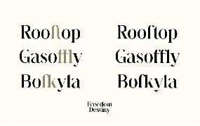 Freedom Destiny font