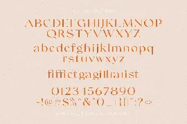 Swifted - Chic & Stylish Sans font