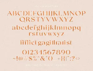 Swifted - Chic & Stylish Sans font