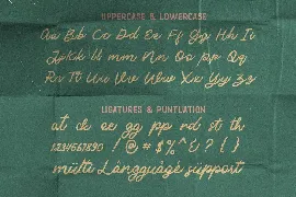 Lagerta font