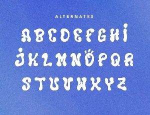 Cozzy - Display Type Face Font