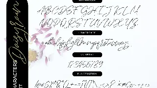 DaisyRain | Handwriting Script Font