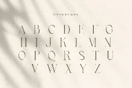 Kingdom - Elegant Stylish Serif font