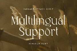 Kingdom - Elegant Stylish Serif font