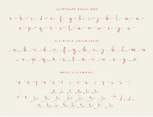 Soltera Handwritten Font