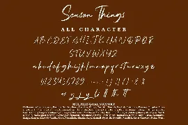 SeasonThings - Bold Handwritten Font