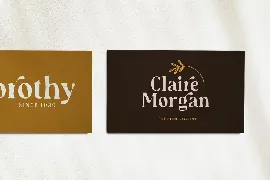 Audrey Mirages - Crooked Stylist Serif font