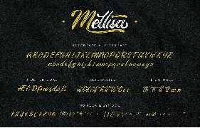 Mellisa | Modern Brush Font