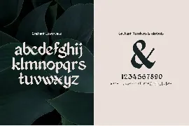 Enchant - Mystical 1600s Typeface font