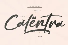 Blankenship Retro Script Font