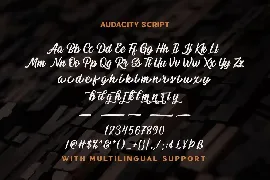 Audacity Script - Adventure Typeface font