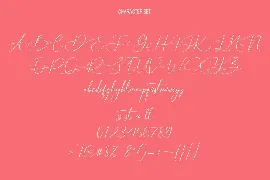 Rolwlercones Script Font