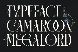 Camaroon Megalord Serif Font